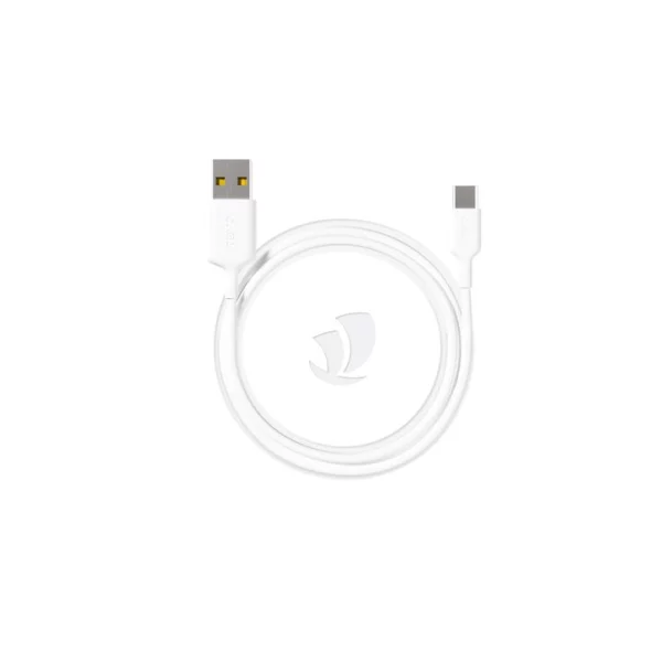 Câble USB vers USB - C  Revo  RC02C